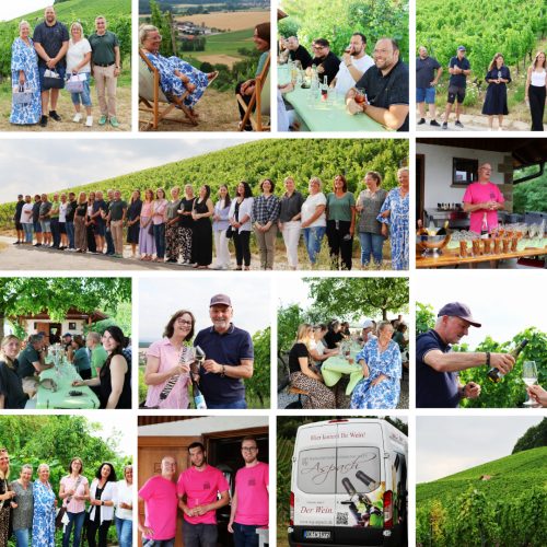 Südbund Sommerfest_Collage Südbund Sommerfest_Collage